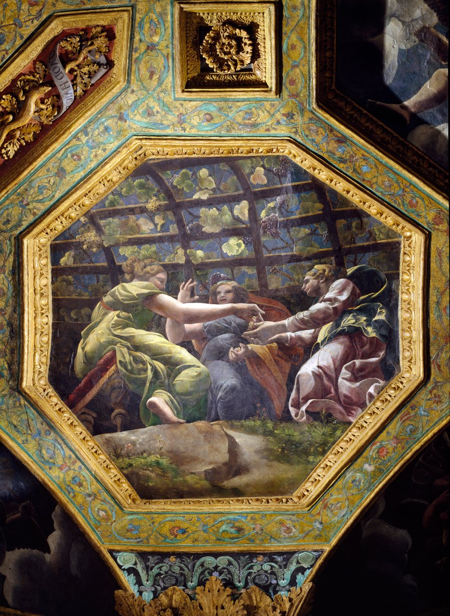 Ženy sbírající hrozny, stropní keson z Hall of Cupid a Psyche, 1528 (olej na štuku) od Giulio Romano
