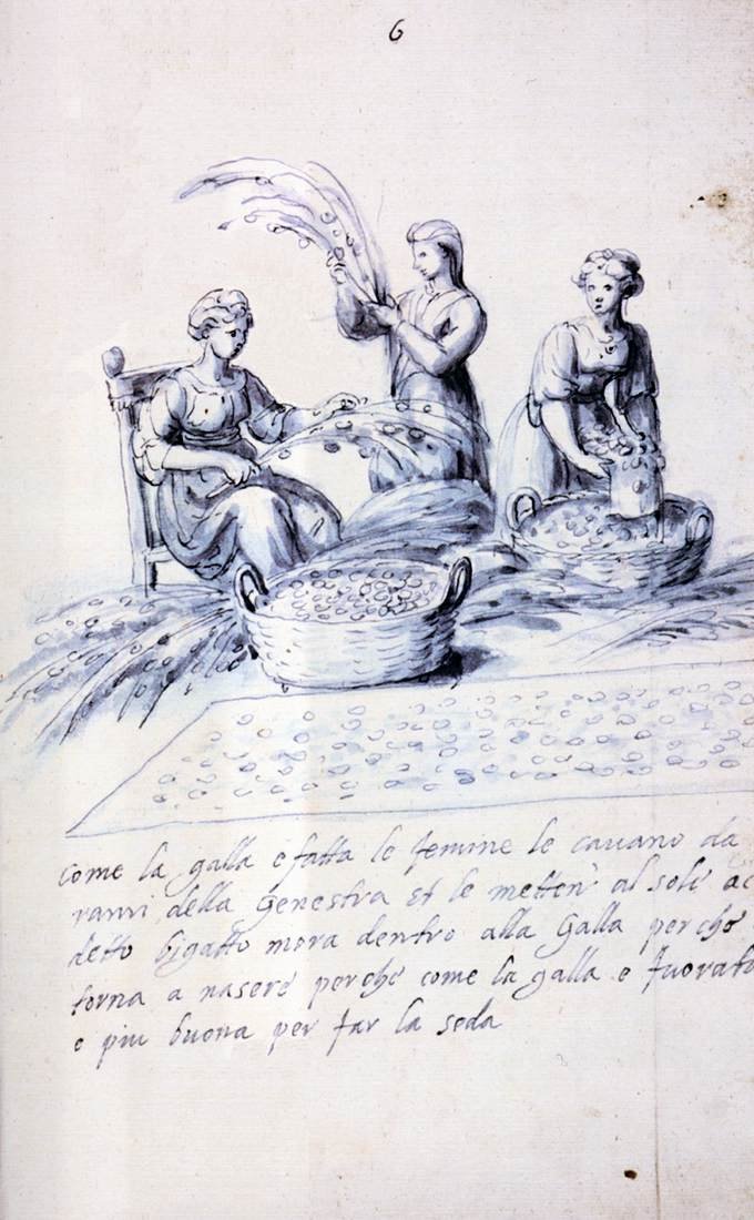 Pojednání o kultuře a výrobě hedvábí od Giuseppe Arcimboldo
