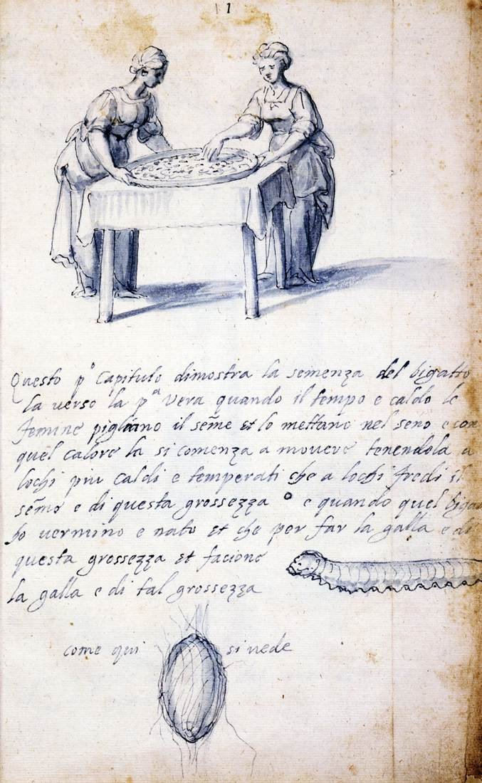 Pojednání o kultuře a výrobě hedvábí (Série třinácti kreseb, č. 1) od Giuseppe Arcimboldo