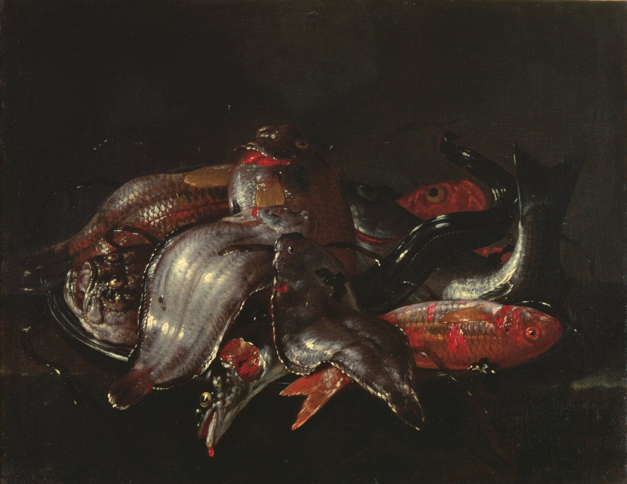 Rybí zátiší, cca 1670-80 od Giuseppe Recco