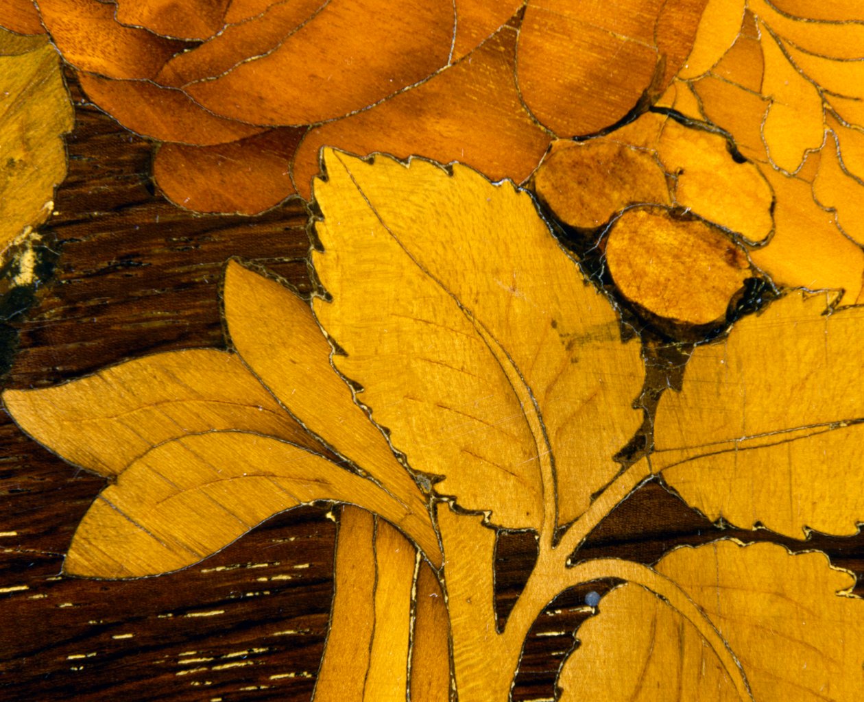 Listy, detail intarzie dekorace ze stolu od školy Giuseppe Maggiolini. Itálie, konec 18. století od Giuseppe (school of) Maggiolini