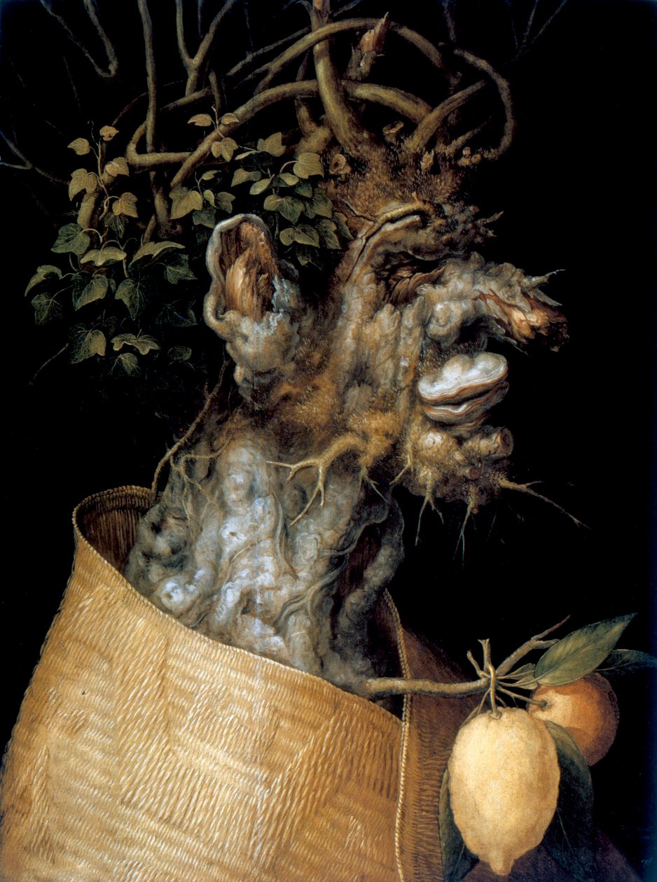 Zima, 1563 od Giuseppe Arcimboldi