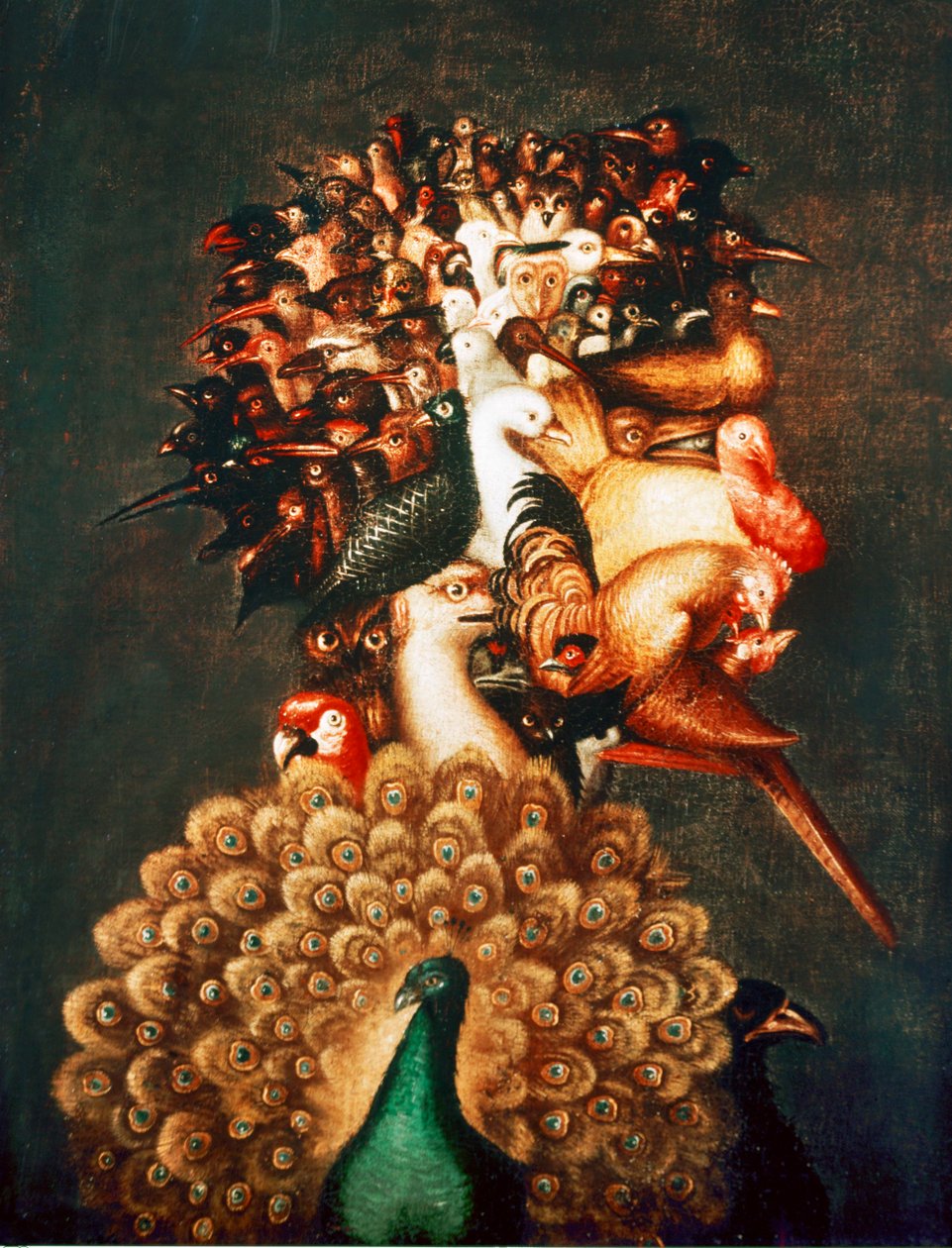  od Giuseppe Arcimboldo