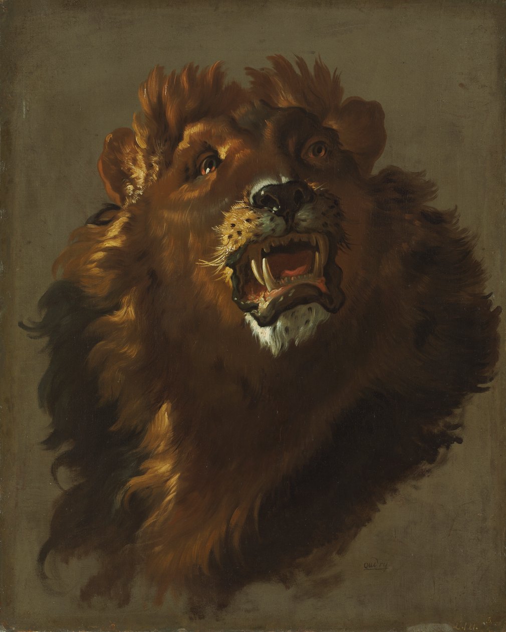 Lion od Giuseppe Baldrighi