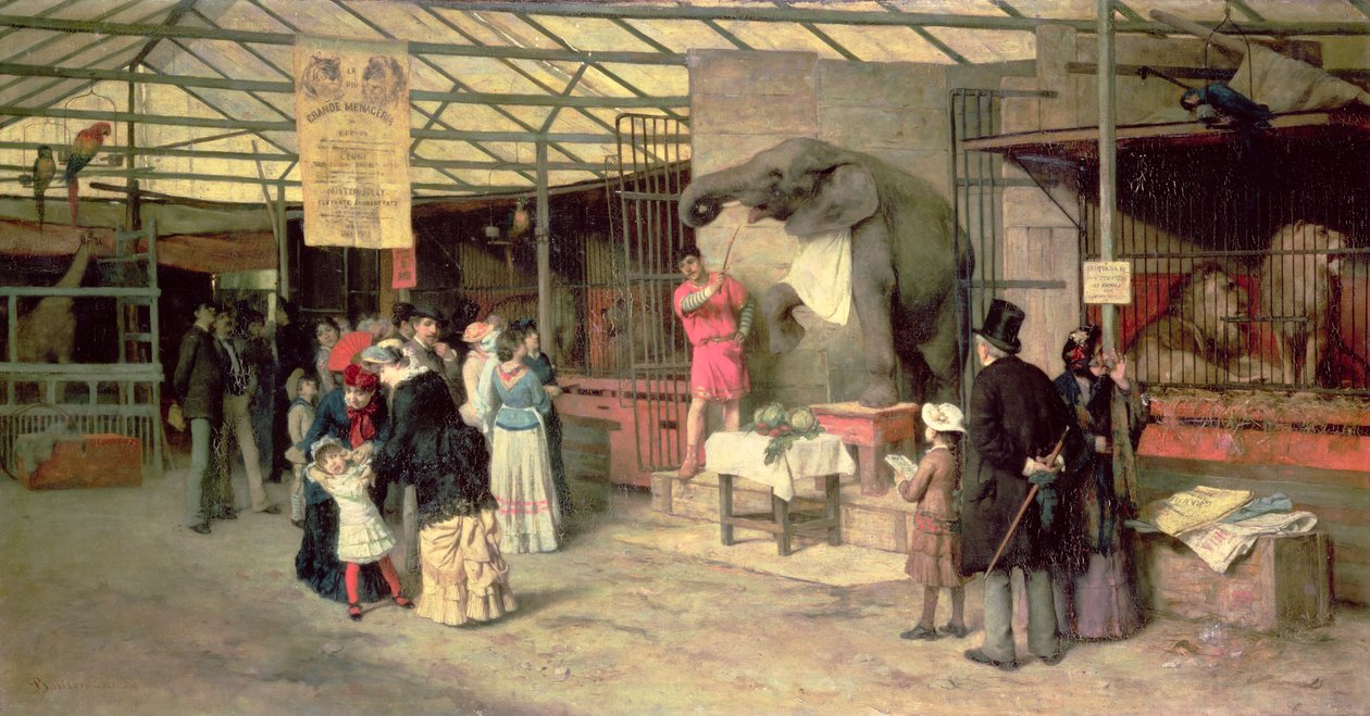 V zoo od Giuseppe Barison