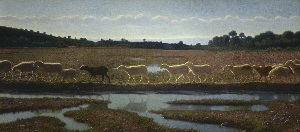 Zrcadlo života od Giuseppe Pellizza da Volpedo