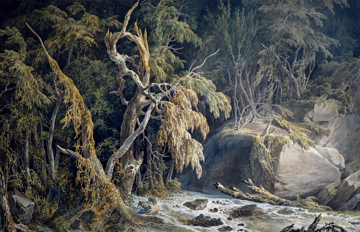 Skalnatá krajina s vyvrácenými stromy, autor Giuseppe Pietro Bagetti (1764-1831). od Giuseppe Pietro Bagetti