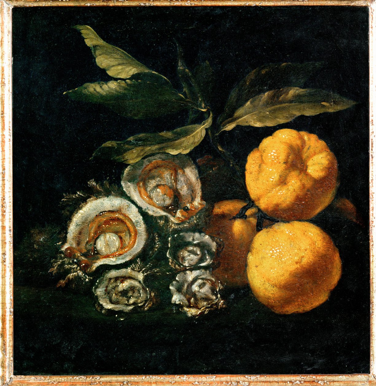 Nature Morte aux huitres et aux coings - Zátiší s ústřicemi a kdoulemi ... od Giuseppe Recco