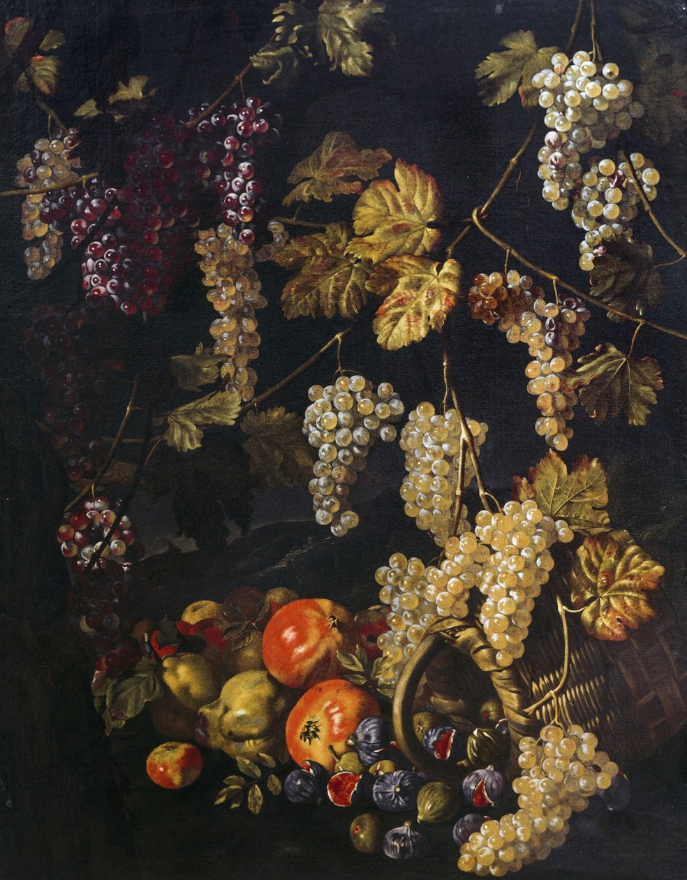 Zátiší s hrozny, vinnými listy a jiným ovocem, olejomalba Giuseppe Recco (1634-1695) od Giuseppe Recco