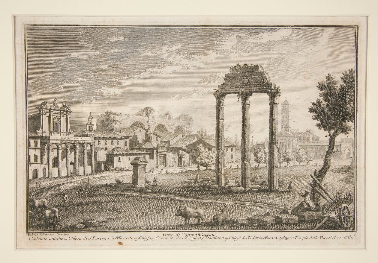Část Campo Vaccino (část Campo Vaccino) od Giuseppe Vasi