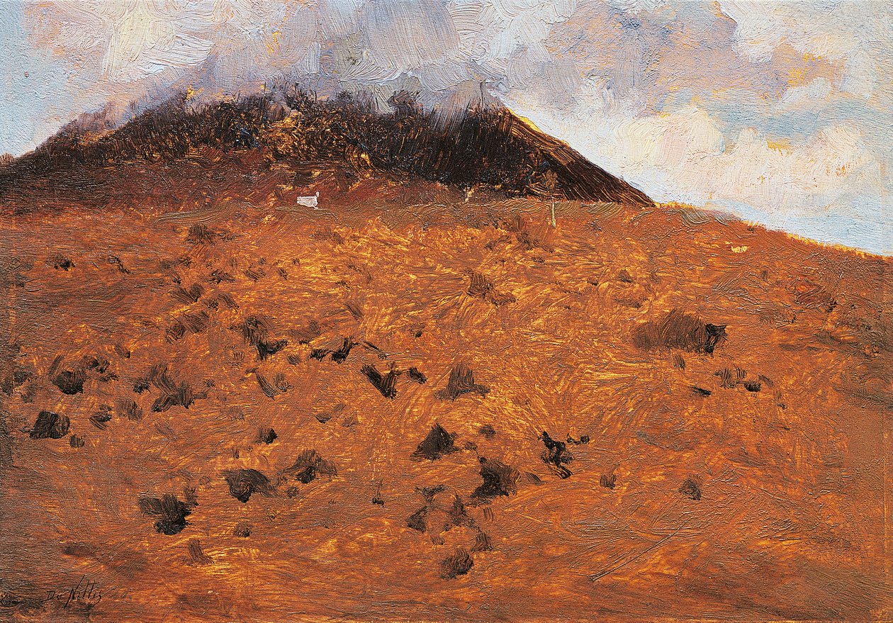 Na svazích Vesuvu od Giuseppe or Joseph de Nittis