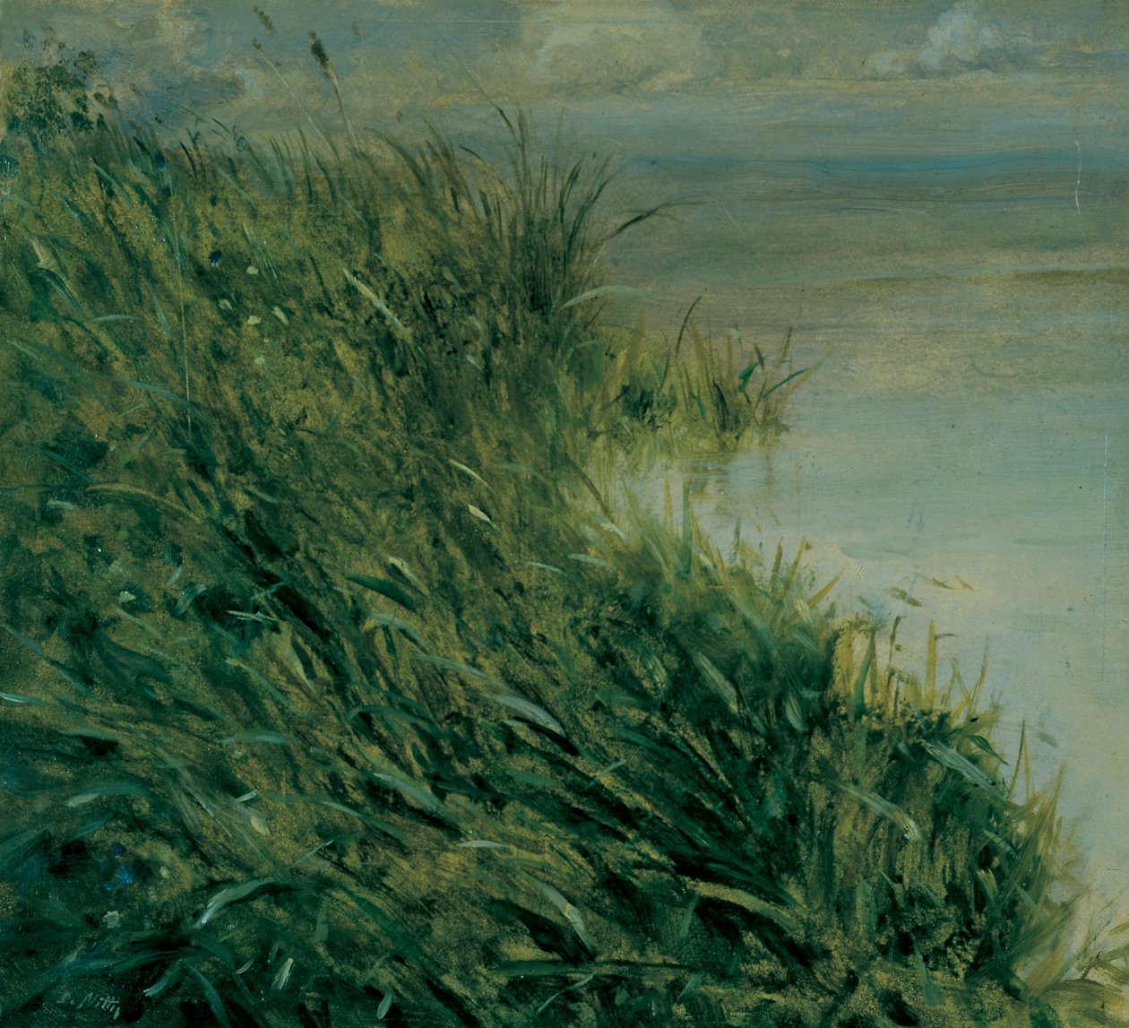 Studium bažiny od Giuseppe or Joseph de Nittis