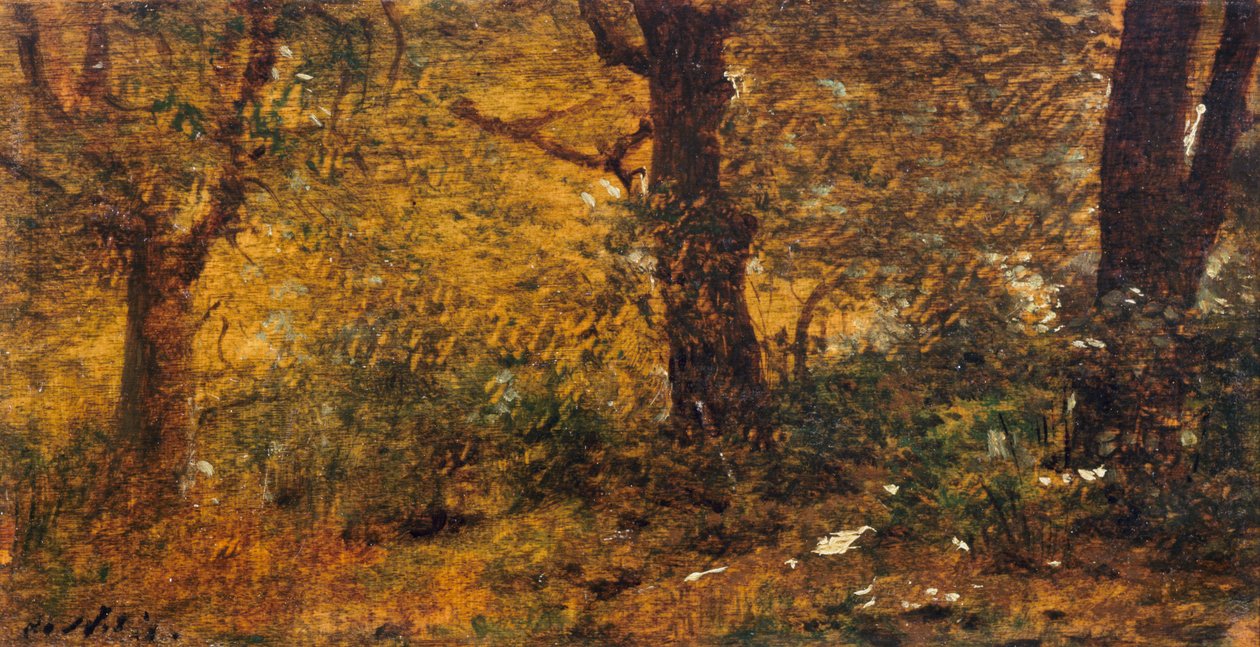 Studium dřeva od Giuseppe or Joseph de Nittis