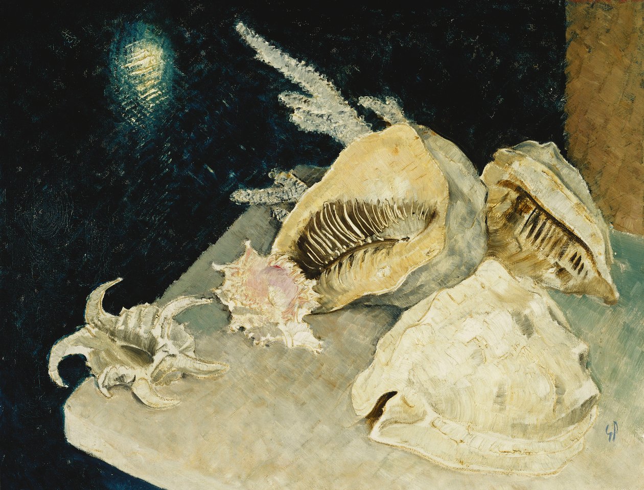 Mušle od Glyn Warren Philpot
