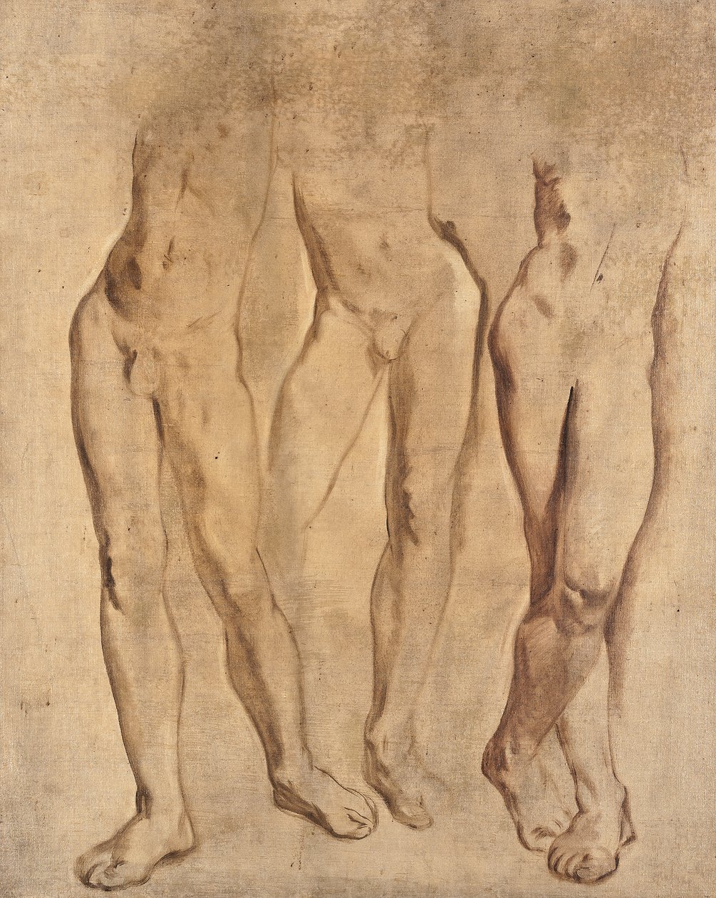 Tři studie mužského aktu, c. 1923-24 (olej na plátně) od Glyn Warren Philpot