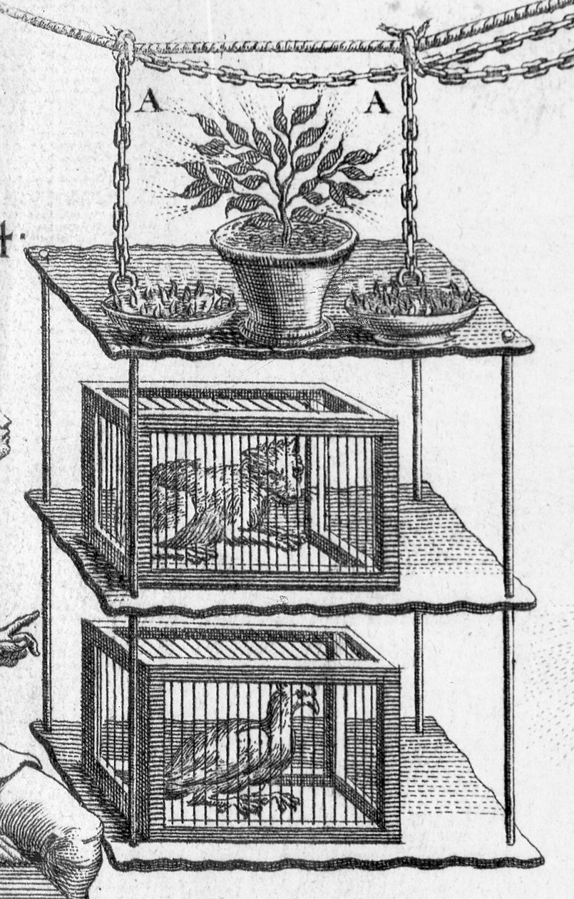 Pokusy s elektřinou, deska z knihy Essai sur lelectricite des corps od opata Jeana Antoina Nolleta, detail zvířat v klecích, 1749, detail rytiny 224419 od Gobin