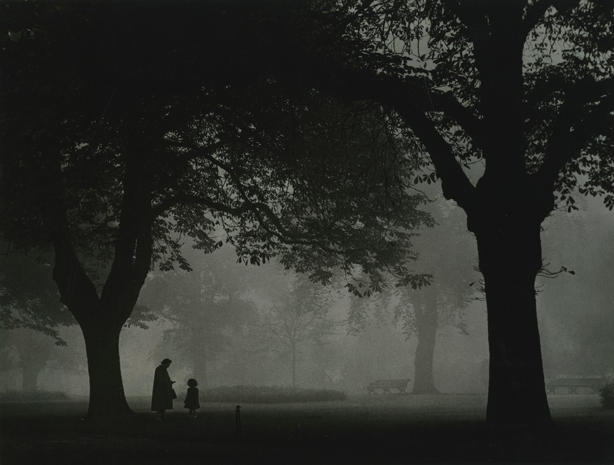 Regents Park, Londýn 50. léta 20. století od Godfrey Macdominic