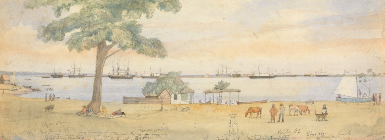 Greytown od Godfrey Thomas Vigne