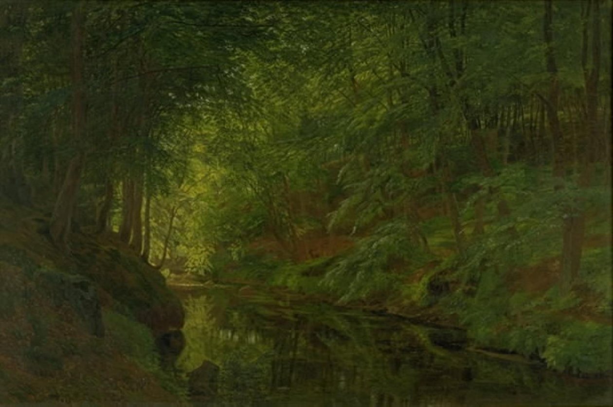 Potok v Sæbygaard Wood, Vendsyssel, Jutland od Godtfred Rump