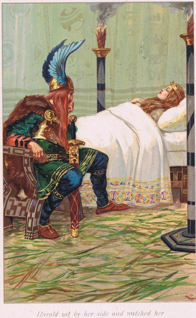 Harald seděl po jejím boku a pozoroval ji, ilustrace z knihy 