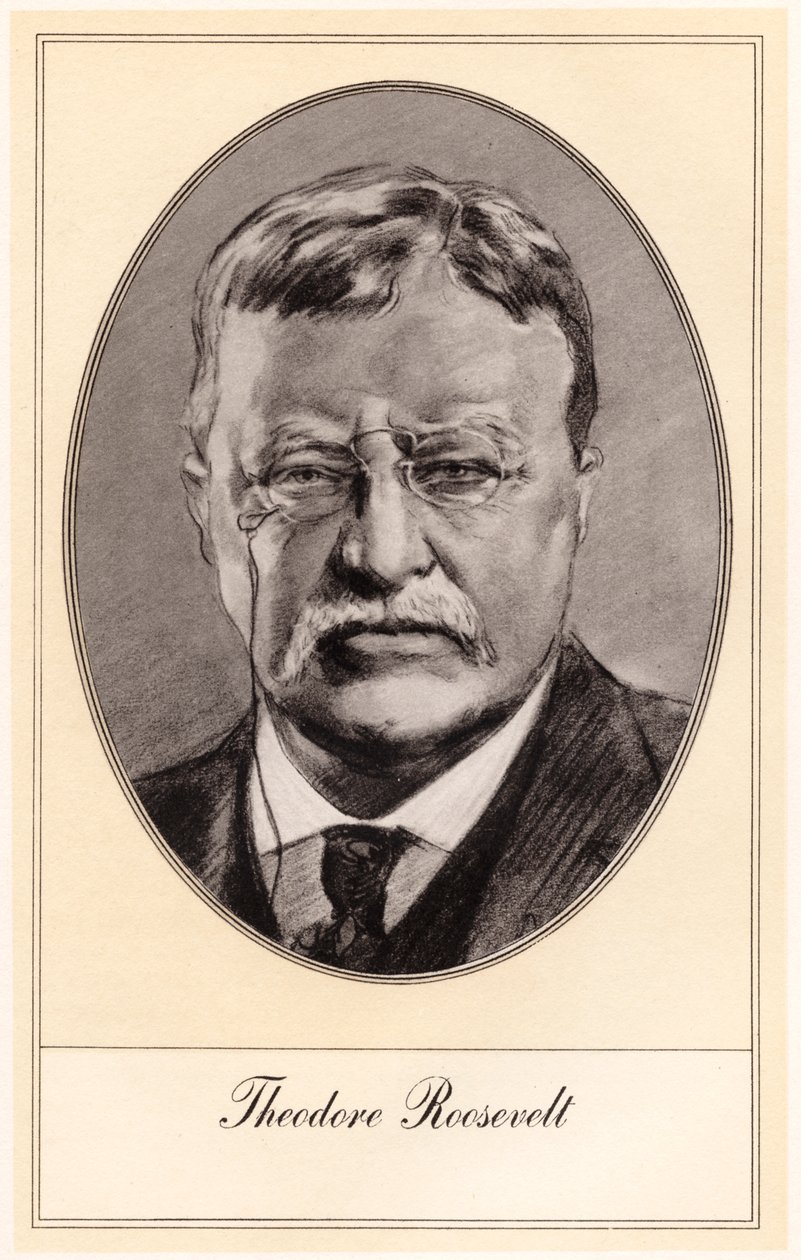 Theodore Roosevelt, 26. prezident Spojených států, počátek 20. století. od Gordon Ross