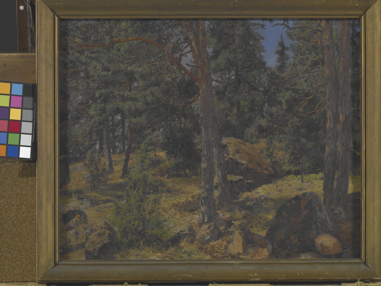 FIR BANK (Olej na plátně) od Gottfried Kallstenius