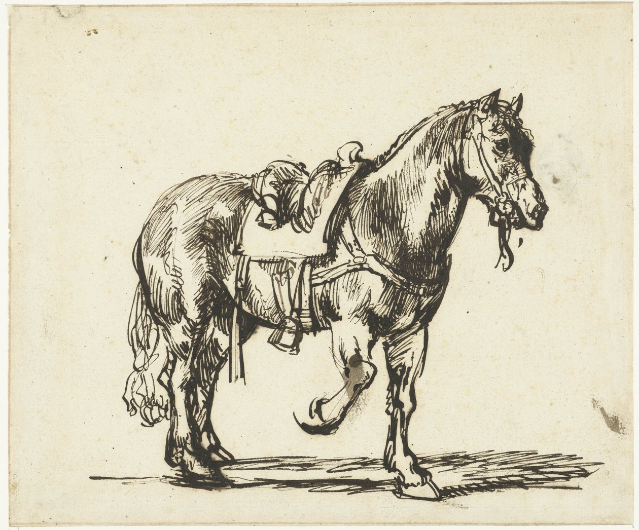 Kůň milosrdného Samaritána od Govert Flinck