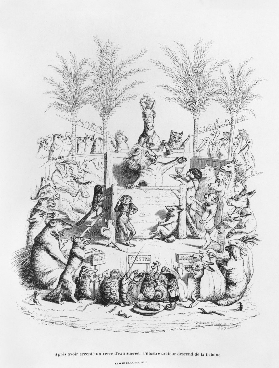 „Po sklenici sladké vody sestupuje slavný řečník z plošiny“, ilustrace ze „Scenes de la Vie Privee et Publique des Animaux“ od Grandville