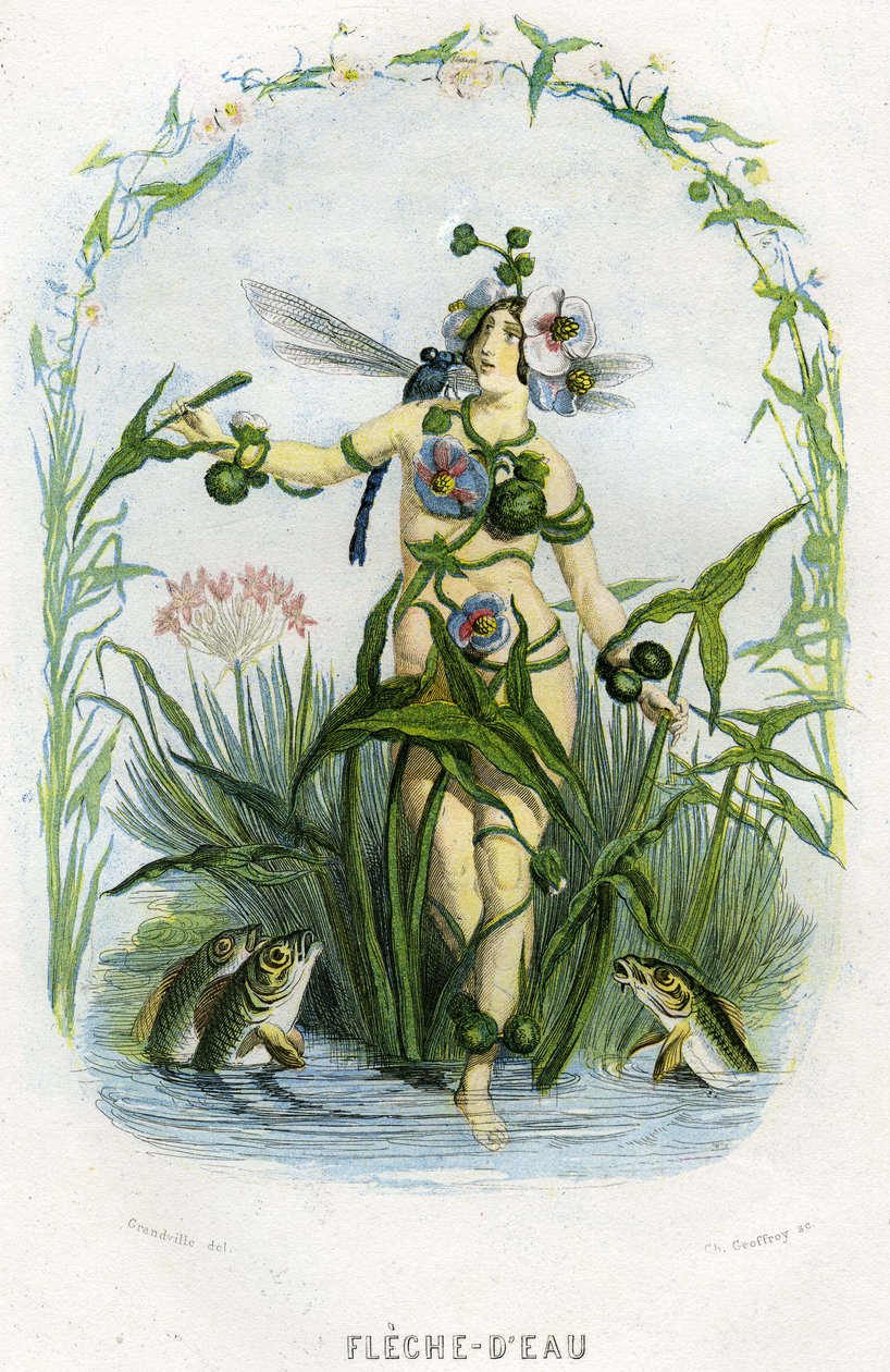 Ilustrace pro 