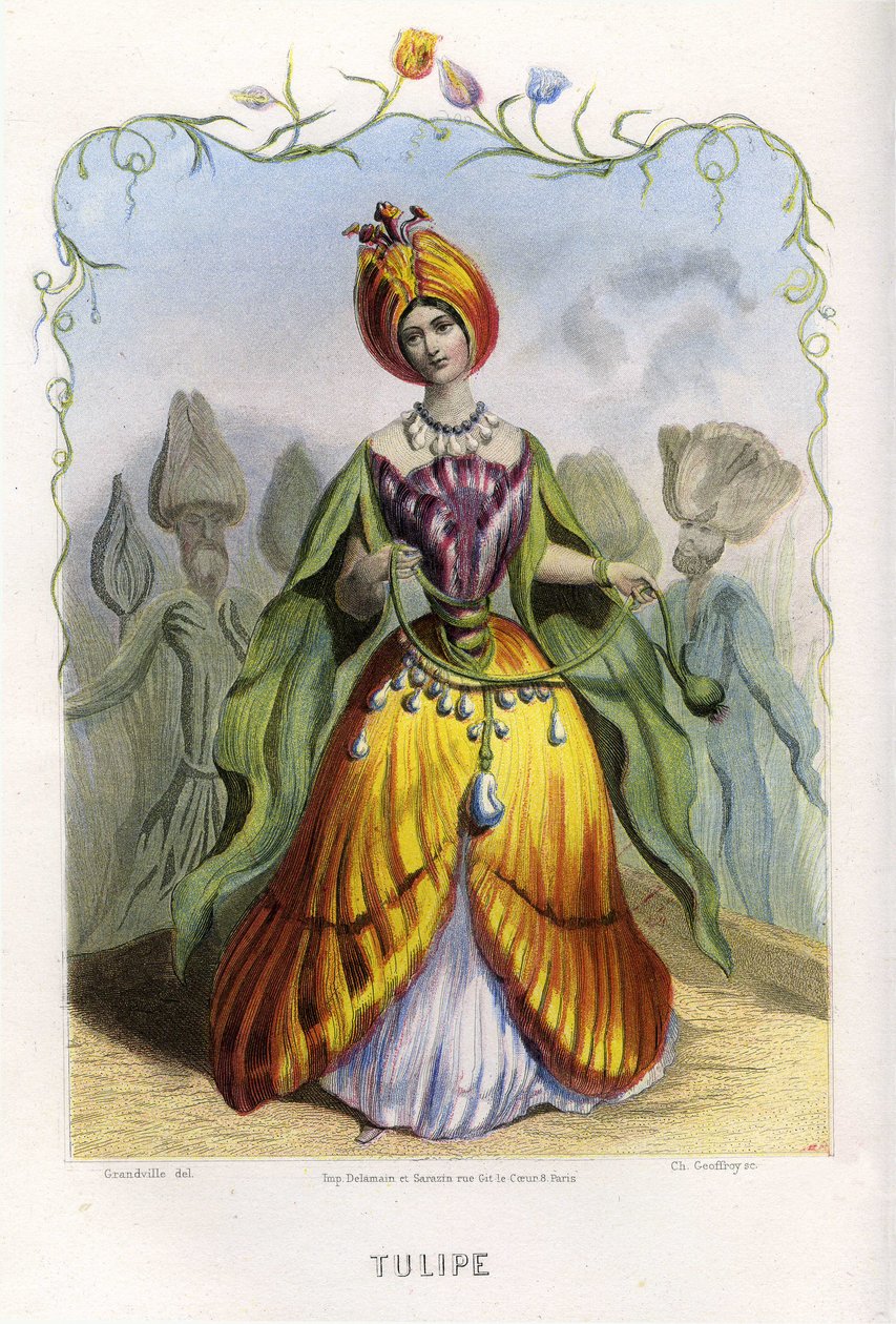 Ilustrace pro 