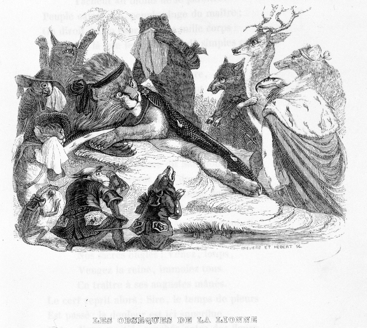 Pohřeb lvice - v „“Fables de La Fontaine““ nemocný. od Grandville od Grandville