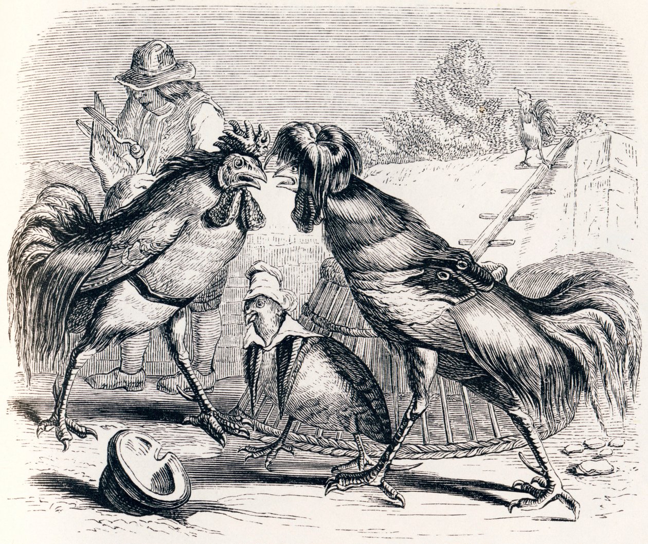 Koroptev a dva pekáči - Fables od La Fontaine od Grandville