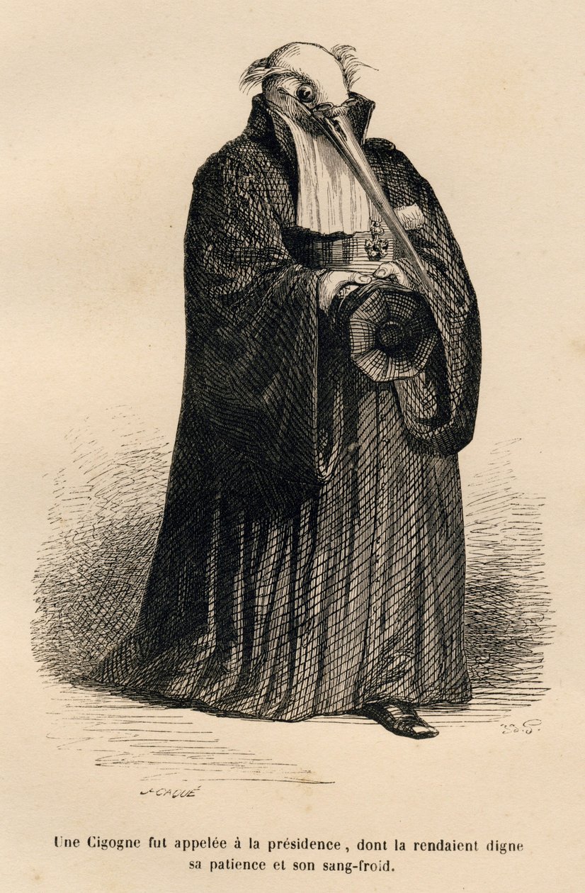 Čáp u soudce. Miniatury ilustroval JJ Granville. Rytina signovaná Caque v části nazvané "Criminal Court of Animal Justice", kterou napsal Emile de La Bedolliere ve "Scénách ze soukromého a veřejného života zvířat". Paris, J. Hetzel a Paulin od Grandville