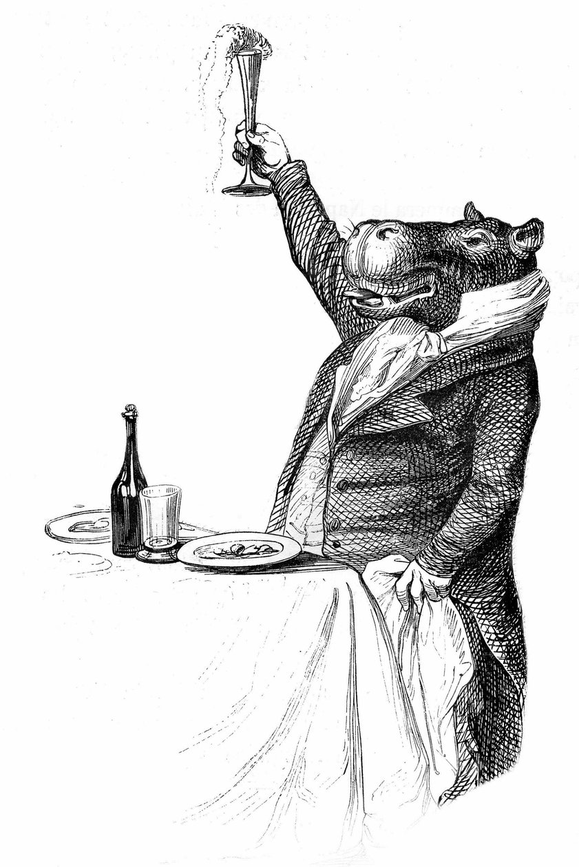Detail Grandvillovy rytiny z knihy Soukromý a veřejný život zvířat (Les animaux ints par eux memes), edice Hetzel 1867 - Hroch světák u stolu zvedá sklenku a připíjí si. od Grandville (1803-47)