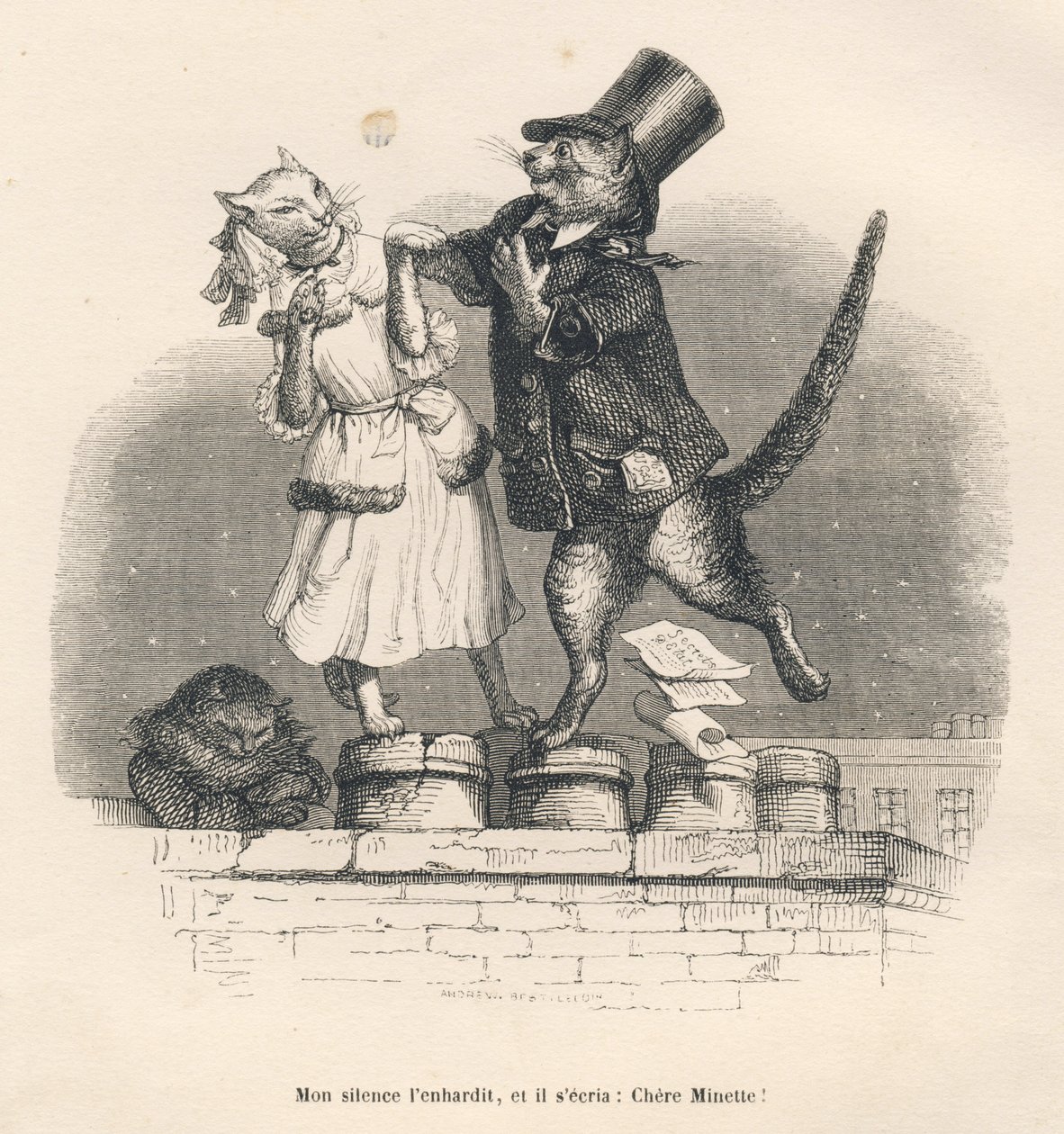 Dvě kočky, které se navzájem svádějí na střeše. Miniatury ilustroval JJ Granville. Rytina podepsána Andrewem, Bestem a Leloirem v části nazvané „Court pains of an English cat“, kterou napsal Honore de Balzac v „Scénách ze soukromého a veřejného života zvíř od Grandville