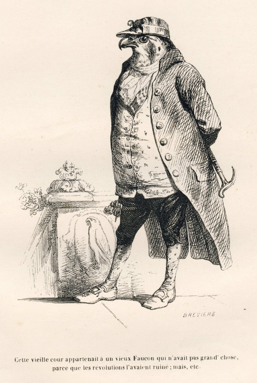 Faucon zničený revolucemi. Miniatury ilustroval JJ Granville. Rytina signovaná Breviere v části nazvané "Vzpomínky staré vrány" od PJ Stahla ve "Scénách ze soukromého a veřejného života zvířat". Paris, J. Hetzel a Pauli od Grandville