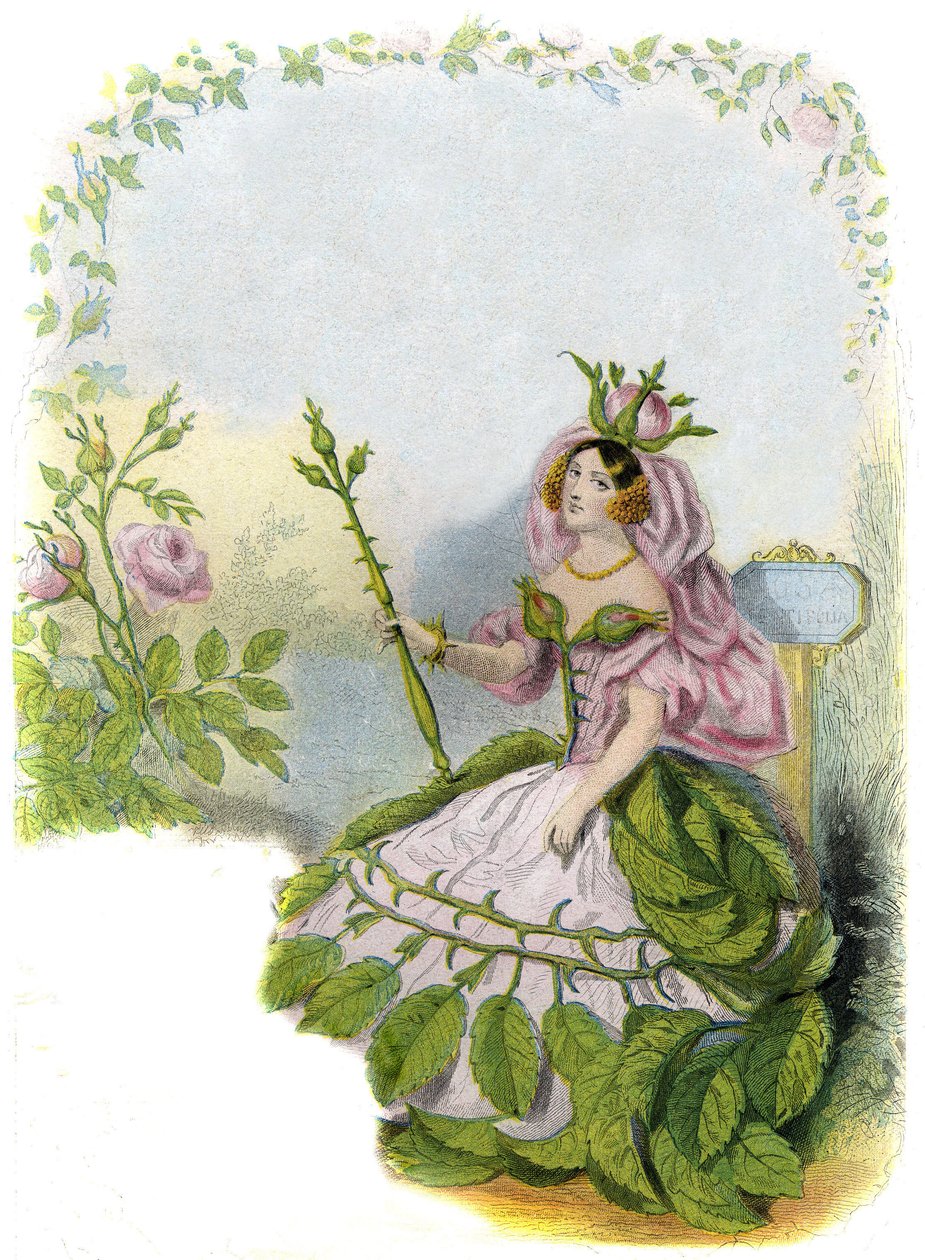 Ilustrace pro 