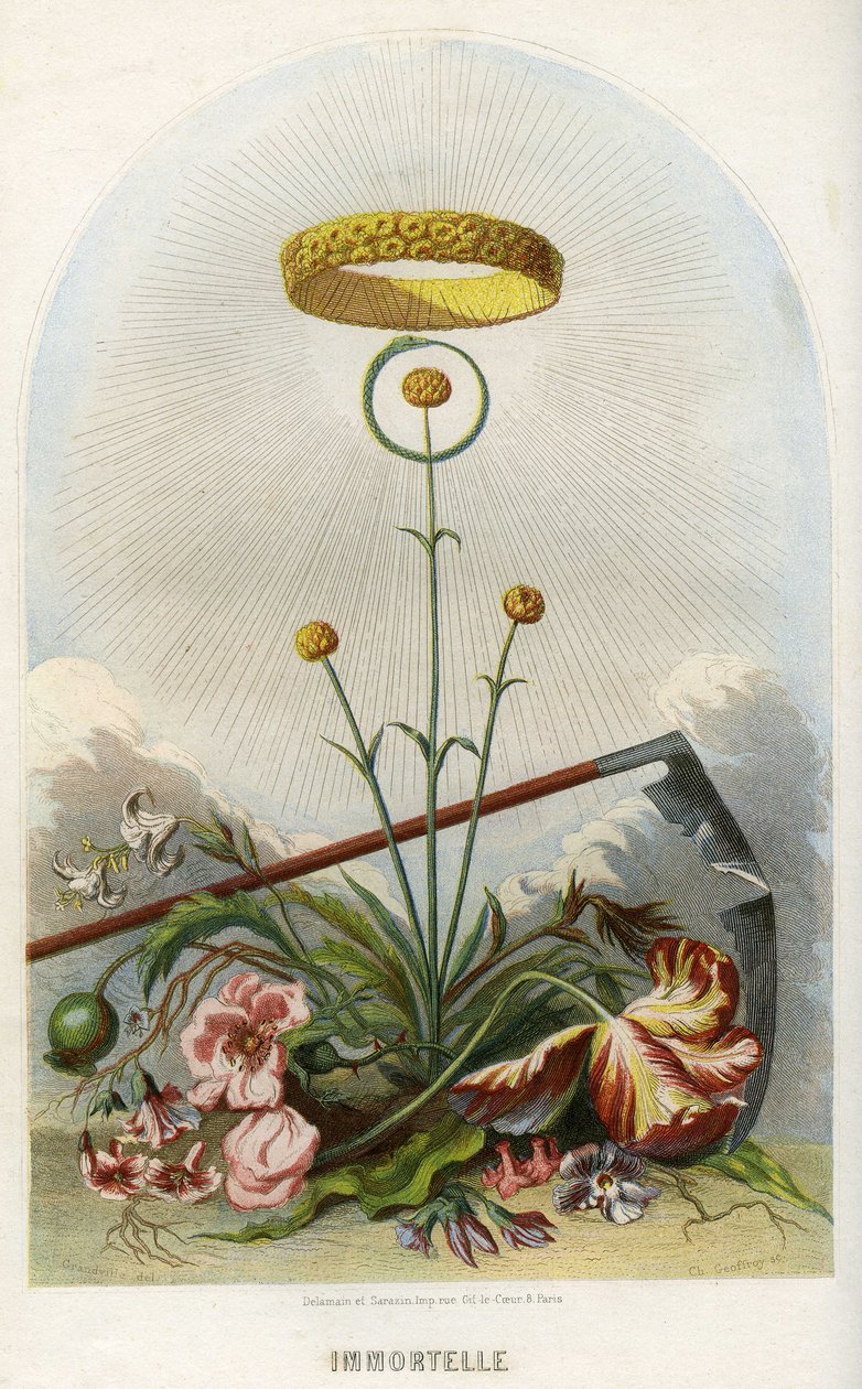 Ilustrace pro 