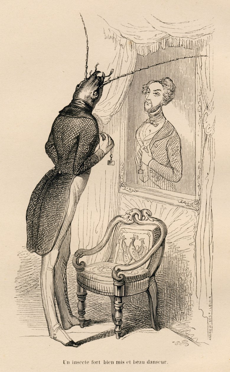 Hmyz při pohledu na svůj lidský odraz v zrcadle). Viněty ilustroval JJ Granville. Gravírování podepsáno Andrew, Best a Leloir v části nazvané „Dobrodružství motýla“, kterou napsal PJ Stahl ve „Scénách ze soukromého a veřejného života zvířat od Grandville