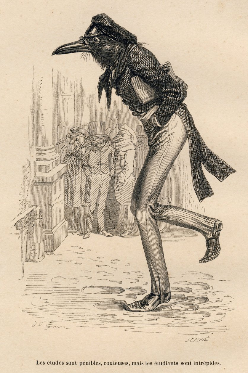 Studium je těžké, drahé, ale studenti jsou nebojácní. Miniatury ilustroval JJ Granville. Rytina signovaná Caque v části nazvané „The animal doctor“ napsal Pierre Bernard v „Scénách ze soukromého a veřejného života zvířat od Grandville