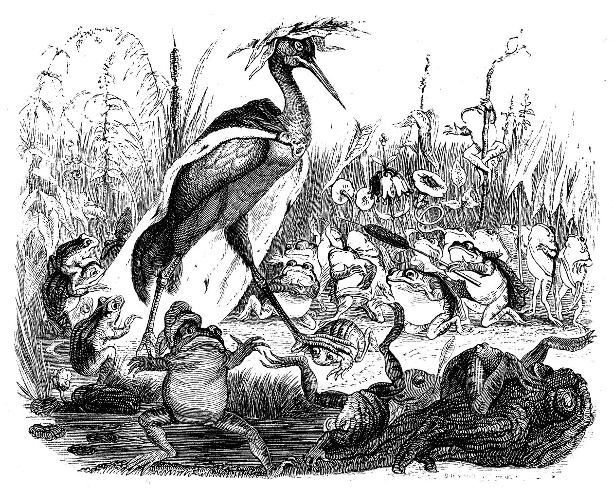 Žáby se ptají krále, ilustrace z 