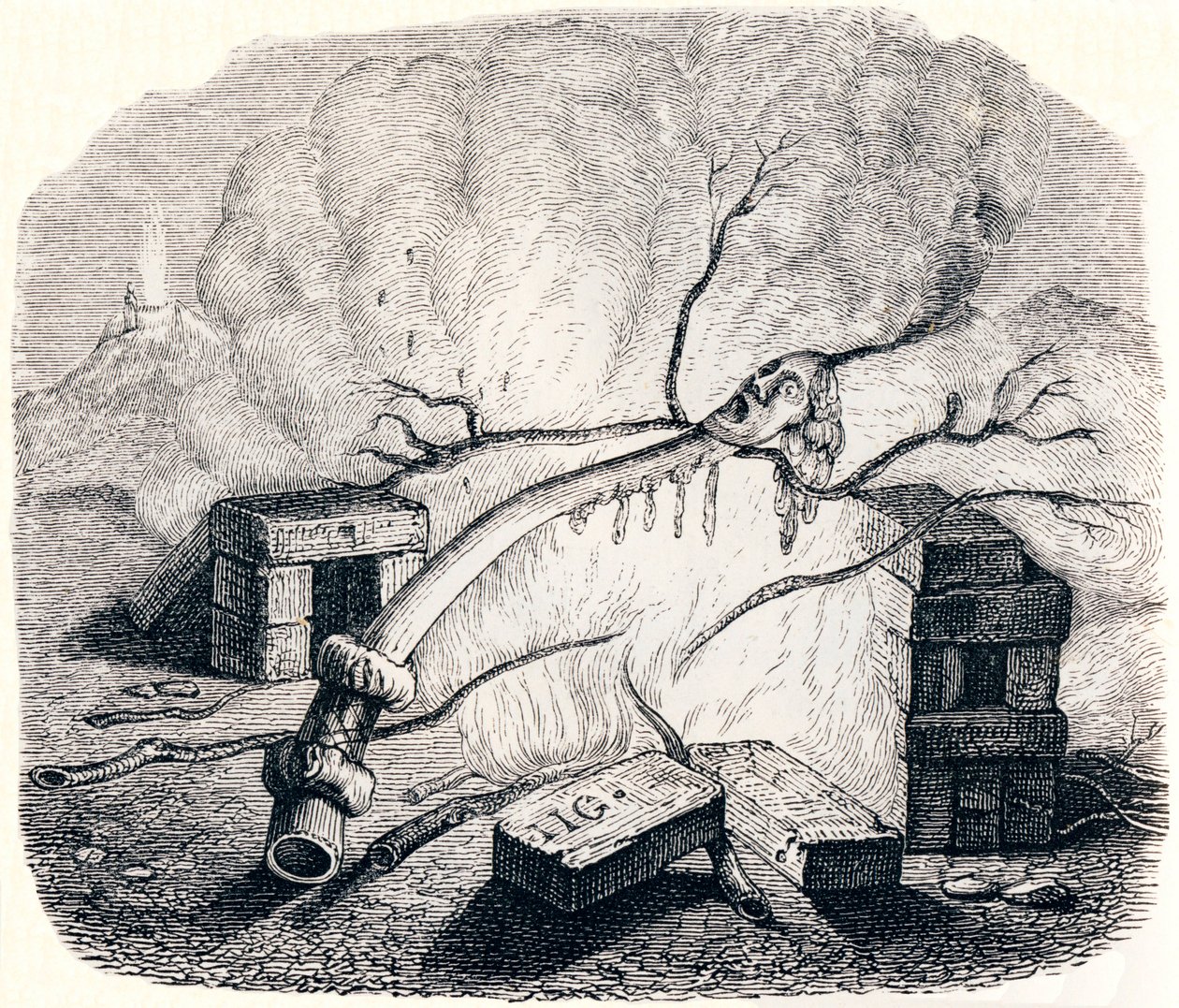 Svíčka - Bajky od La Fontaina od Grandville