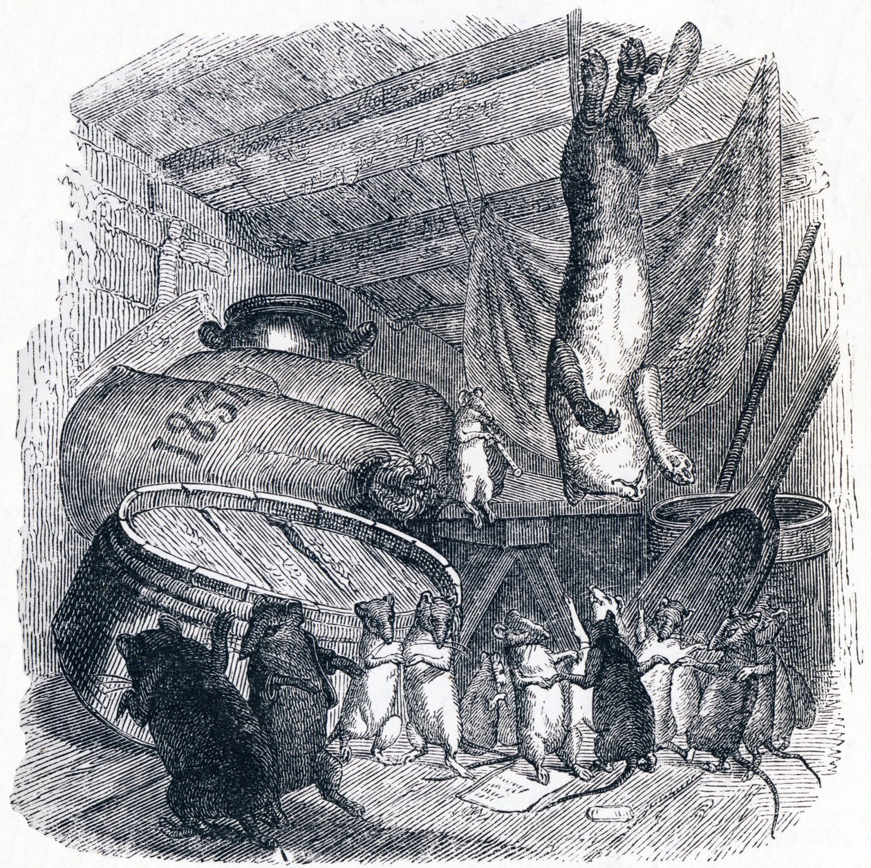 Kočka a stará krysa (Le chat et un vieux rat) - Bajky od La Fontaine od Grandville