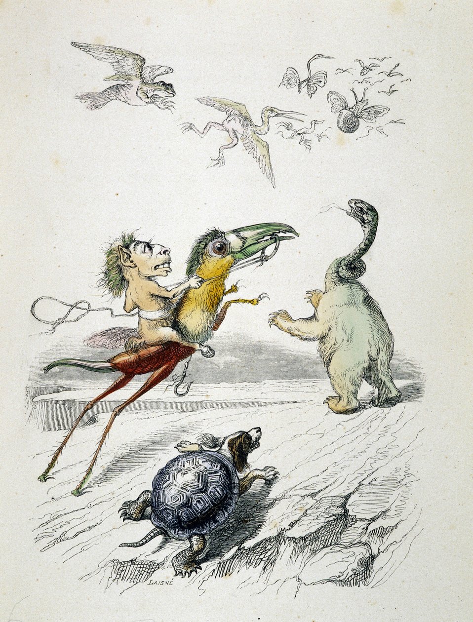 Honička (báječná zvířecí rasa) od Grandville od Grandville