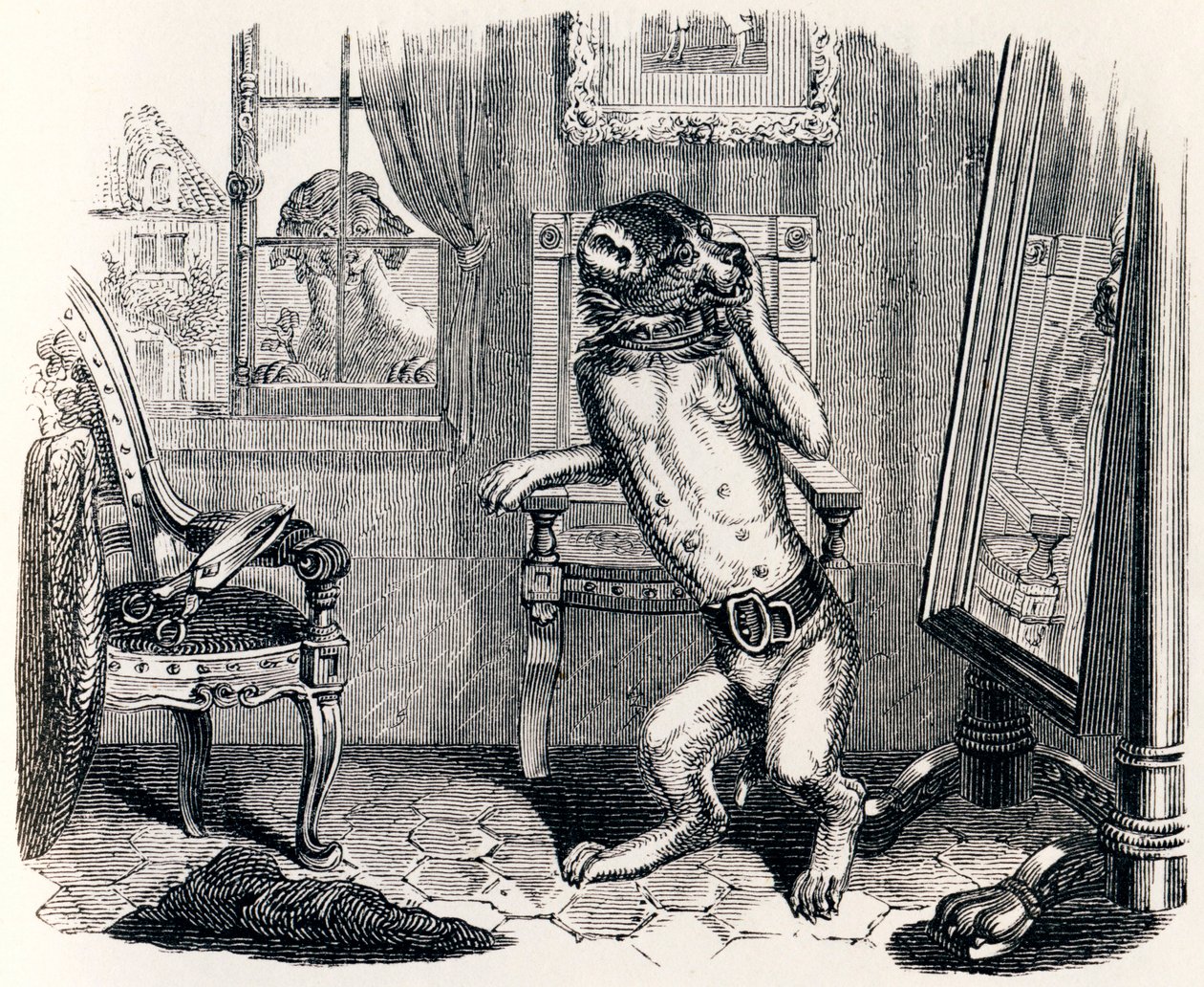 Pes s ustřiženýma ušima - Fables od La Fontaine od Grandville