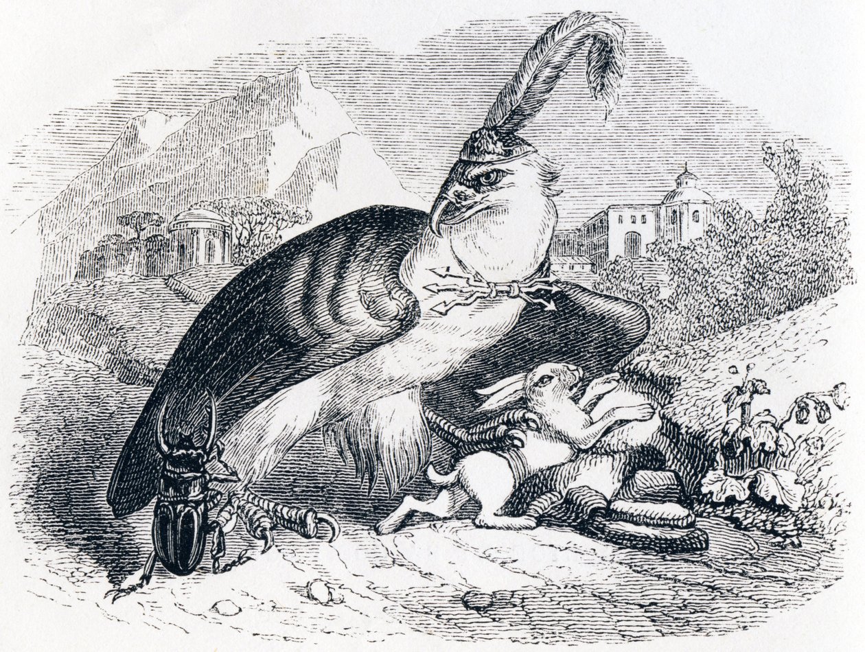Orel a šnek (L