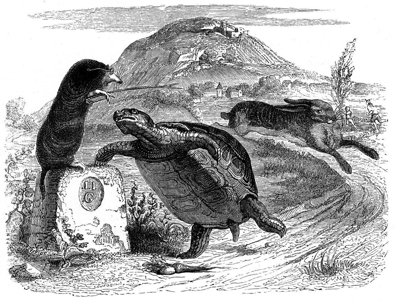 Zajíc a želva: La Fontainova pohádka ilustrovaná Grandvillem. od Grandville (1803 47)