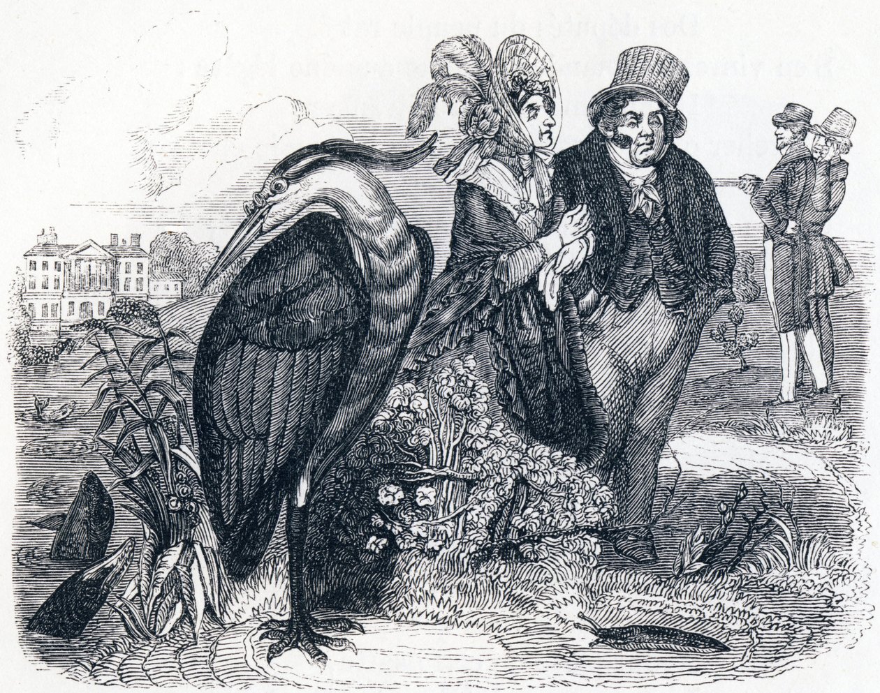 Volavka (le Heron) - Bajky od La Fontaina od Grandville