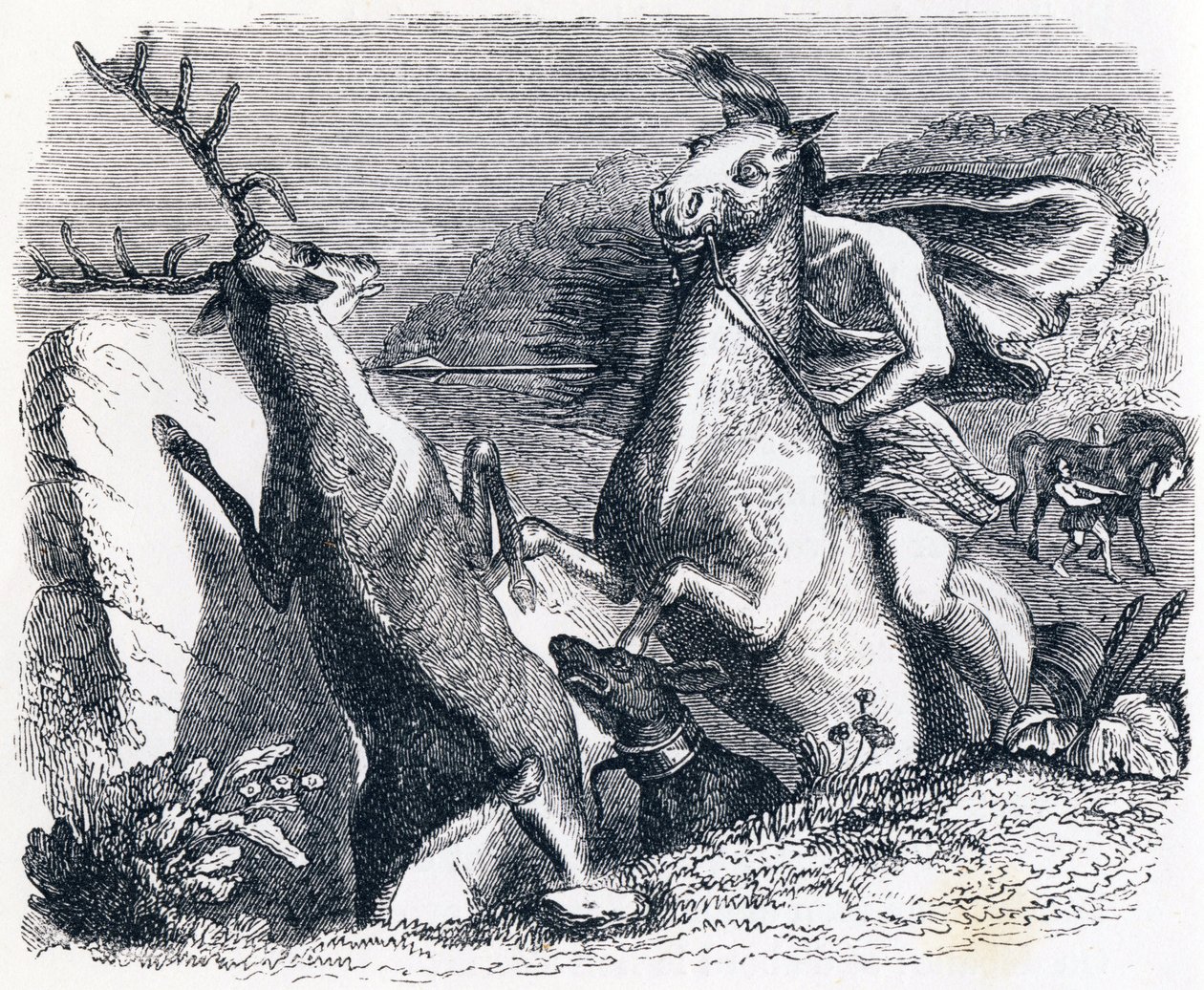 Kůň chtěl pomstít jelena - Fables od La Fontaine od Grandville