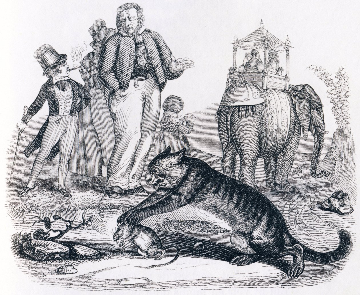 Krysa a slon (le rat et l